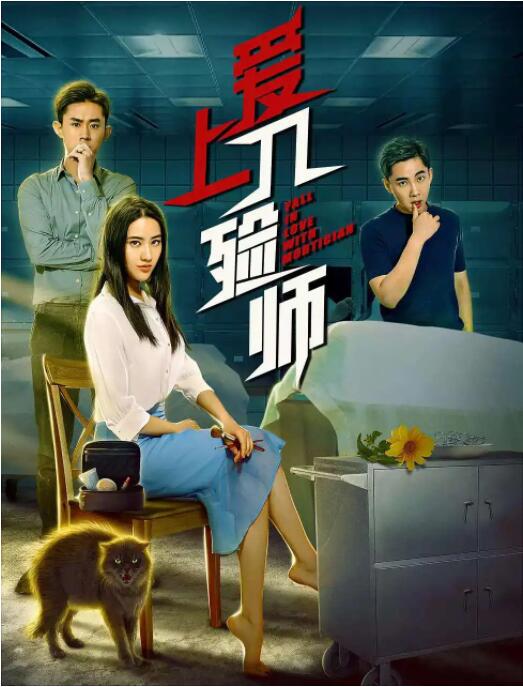 爱上入殓师(全集)