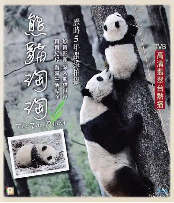 熊猫淘淘(全集)