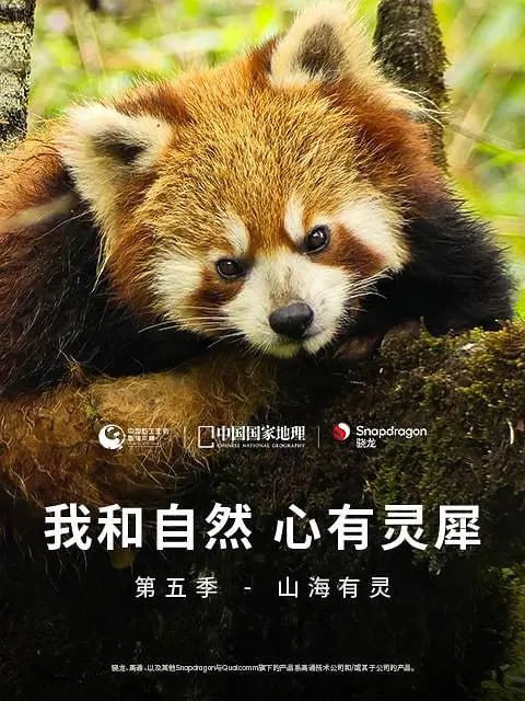 我和自然 心有灵犀 第五季(全集)