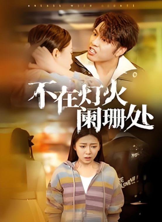 不在灯火阑珊处(全集)