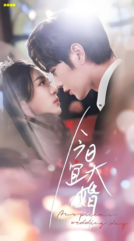 今日宜大婚(全集)