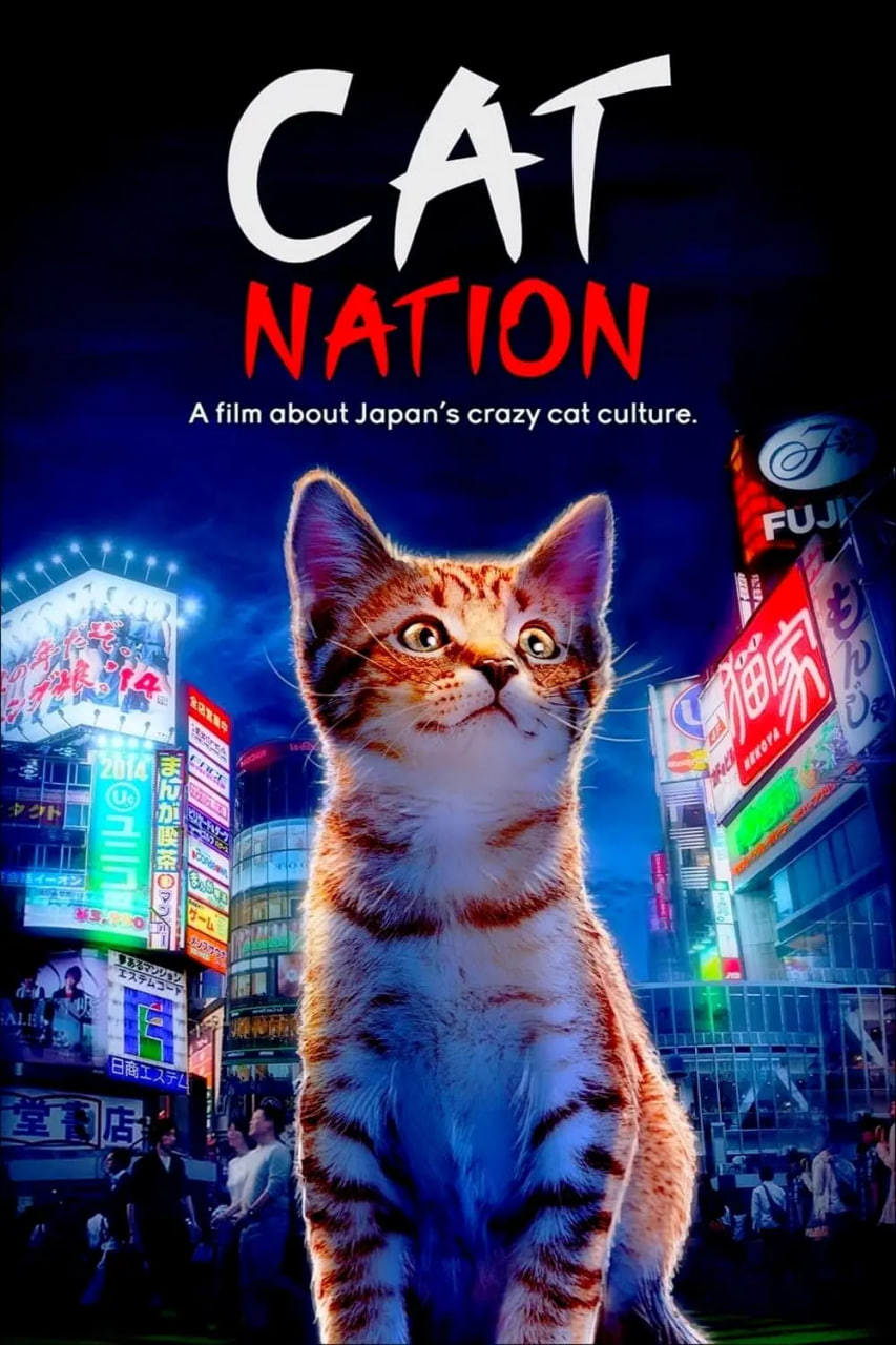 猫咪国度(全集)