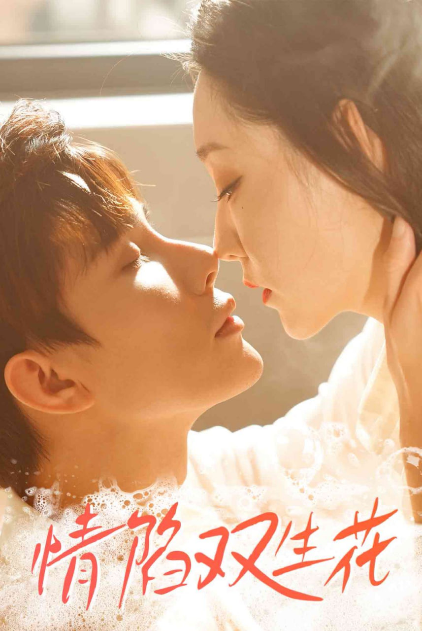 情陷双生花(全集)
