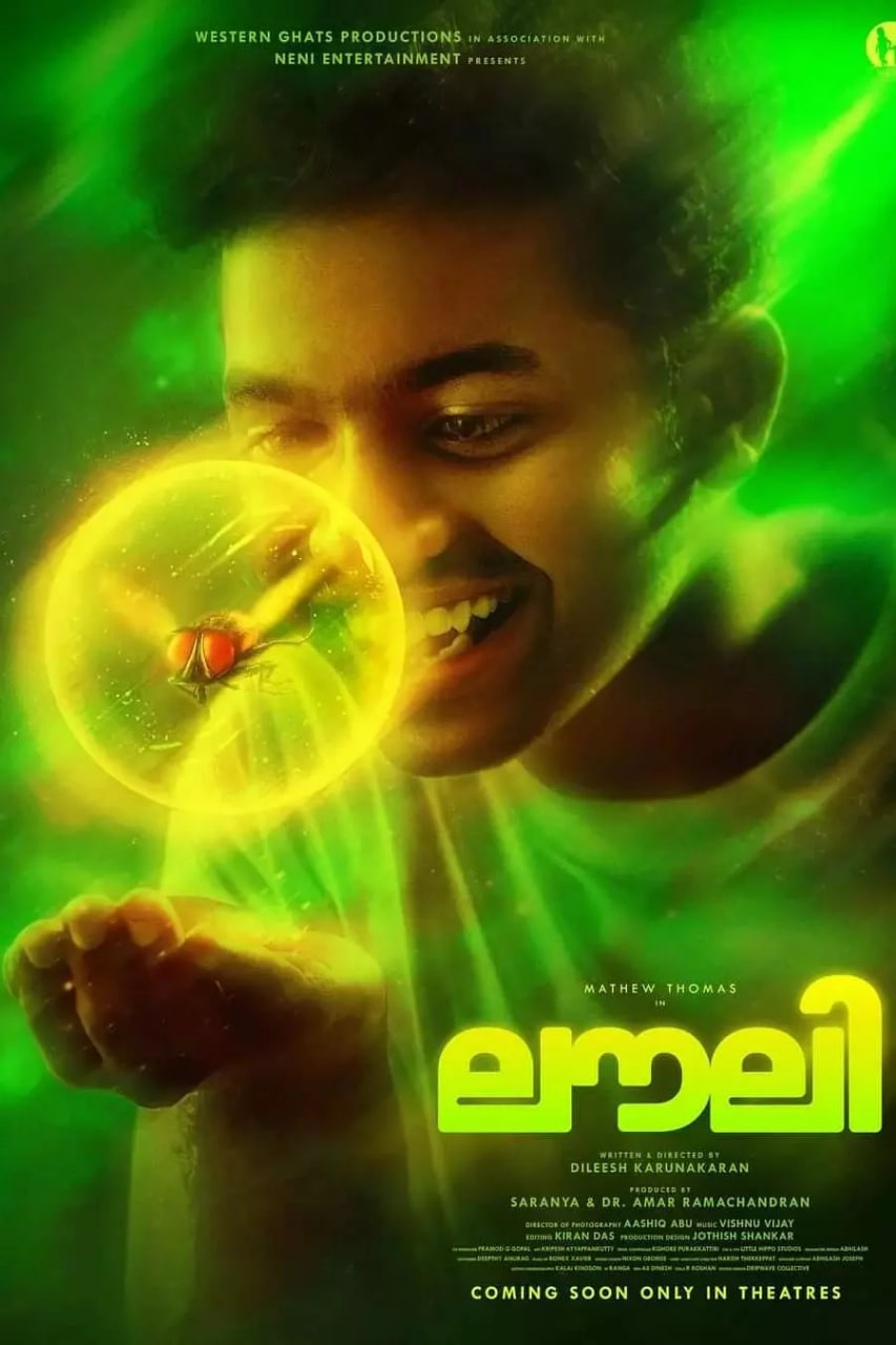 小蝇归来(全集)