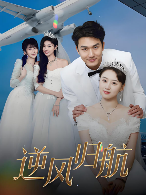 逆风归航(全集)