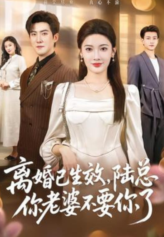 离婚已生效，陆总你老婆不要你了(全集)