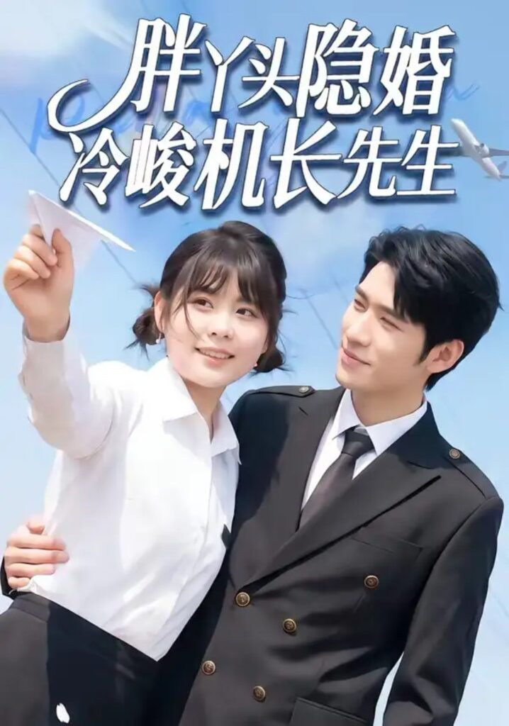 胖丫头隐婚冷峻机长先生(全集)
