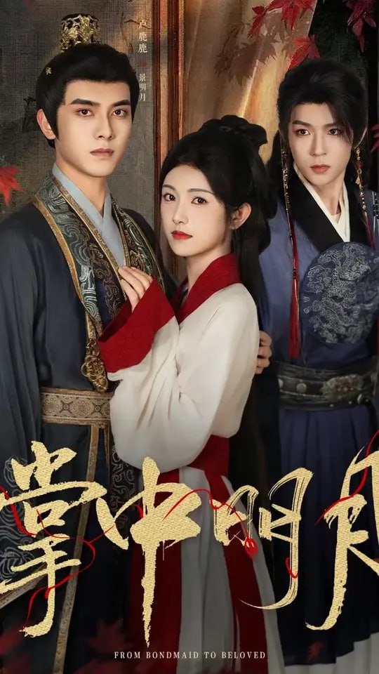 掌中明月(全集)