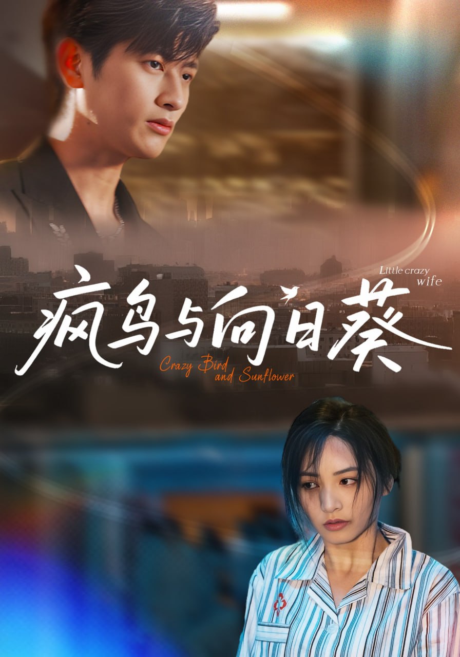 疯鸟与向日葵(全集)