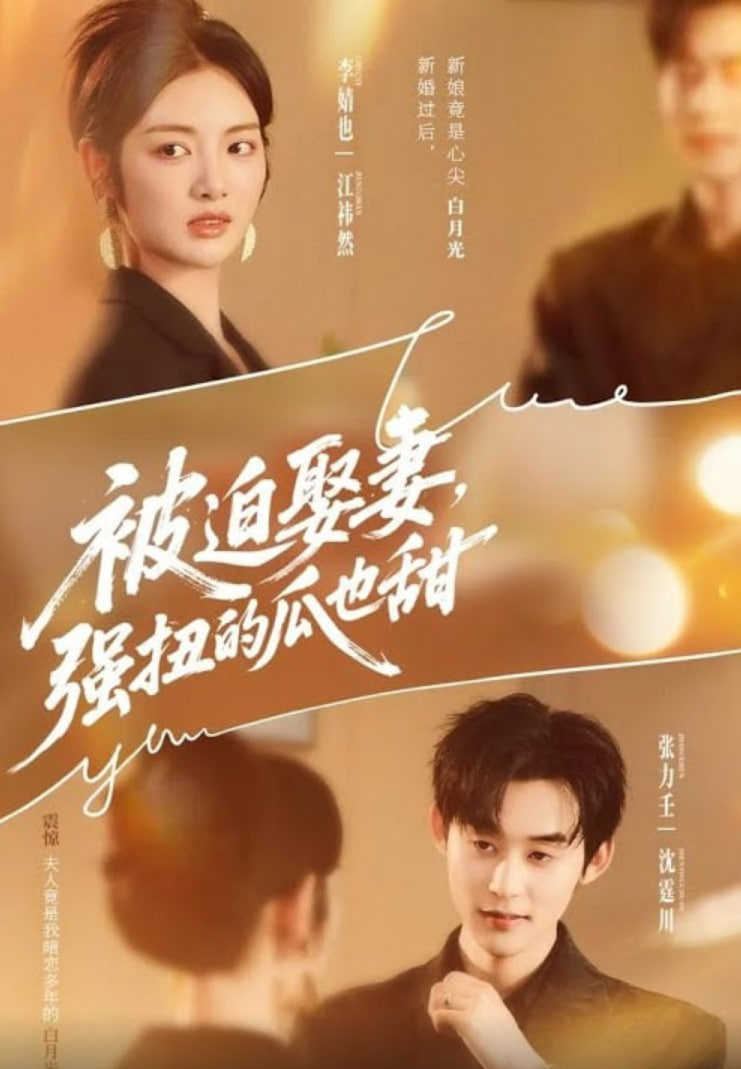 被迫娶妻强扭的瓜也甜（被迫娶妻，强扭的瓜也甜）(全集)